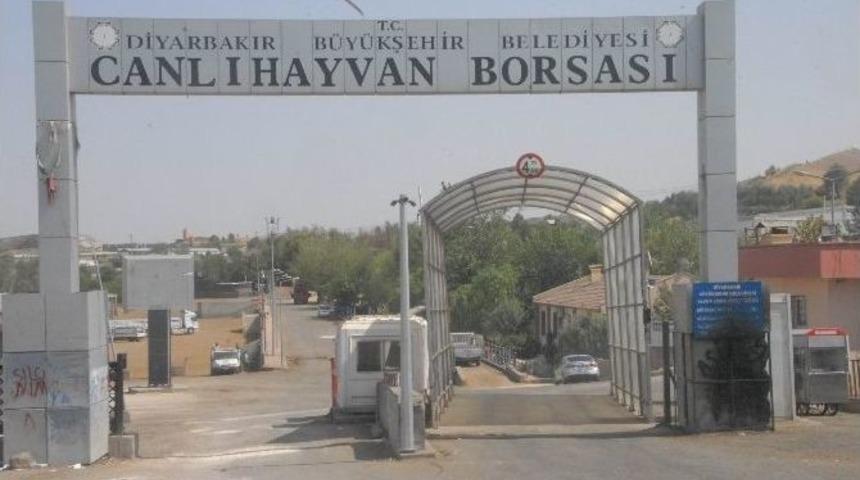 Diyarbakır Hayvan Borsası Kurban Bayramı&rsquo;na Hazırlanıyor