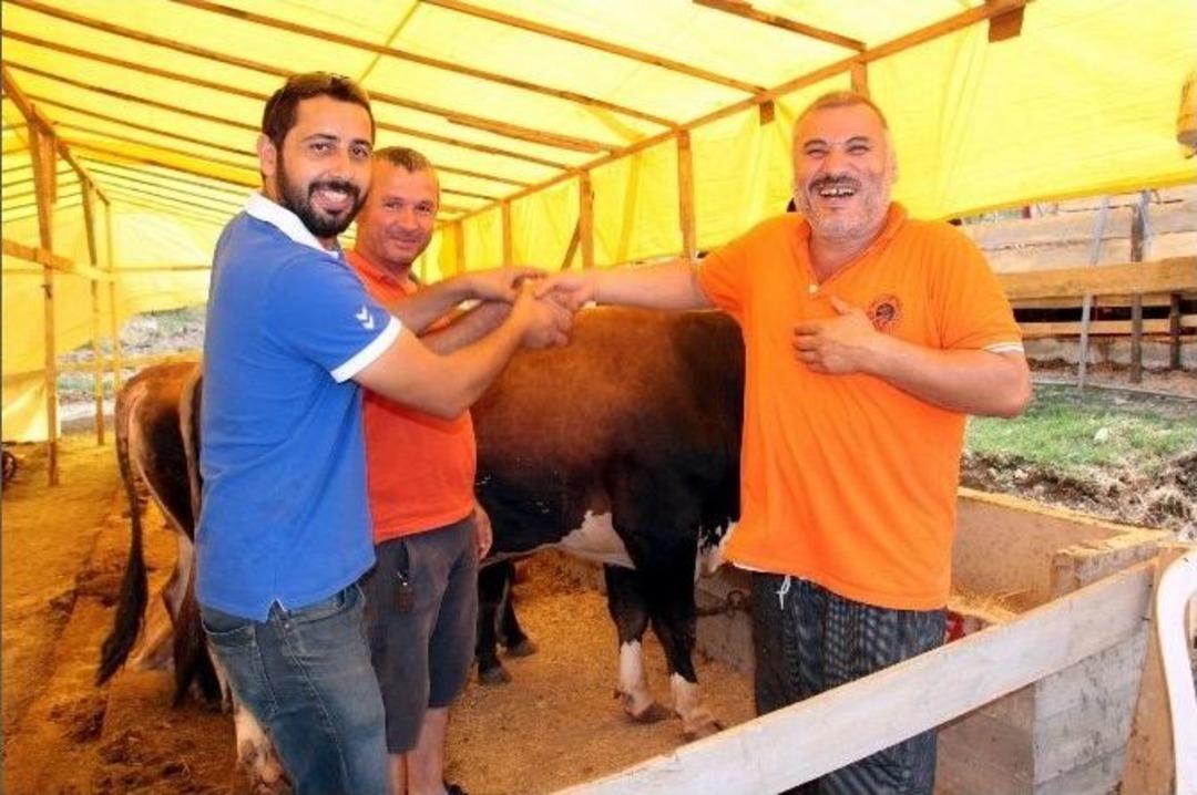 Kurbanlıklar G&ouml;r&uuml;c&uuml;ye &Ccedil;ıktı