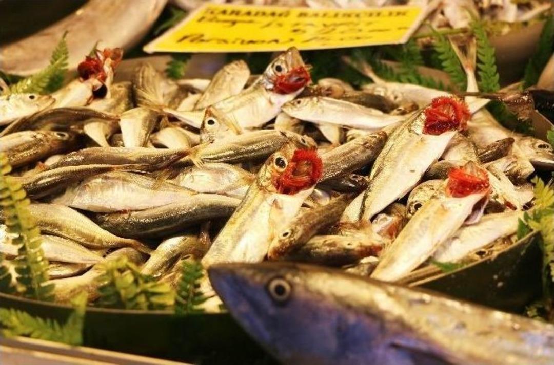 Edremitli Balık&ccedil;ılar Yeni Av Mevsiminden &Uuml;mitli