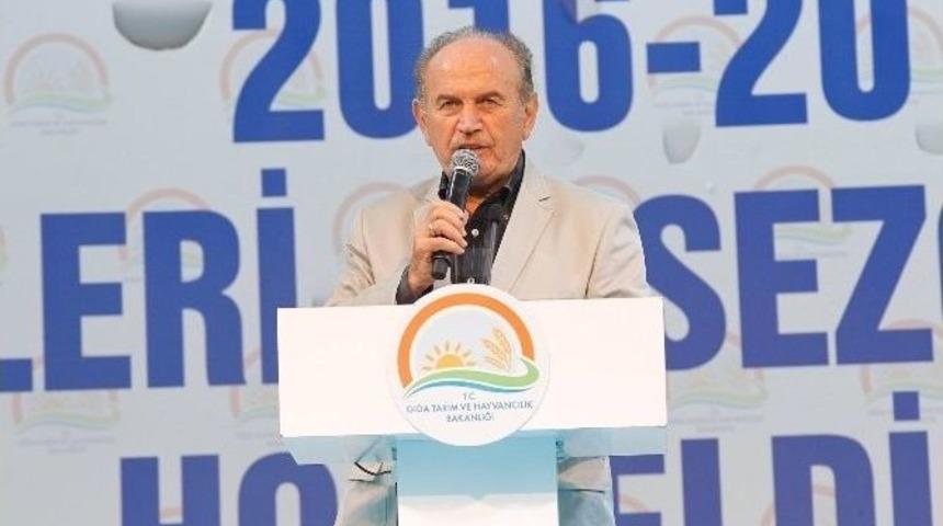 Balık&ccedil;ılar Rumeli Feneri&rsquo;nden &lsquo;vira Bismillah&rsquo; Dedi