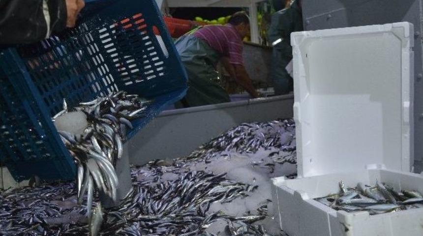 &rsquo;vira Bismillah&rsquo; Diyen Balık&ccedil;ı Esnafının İlk Geceden Y&uuml;z&uuml; G&uuml;ld&uuml;