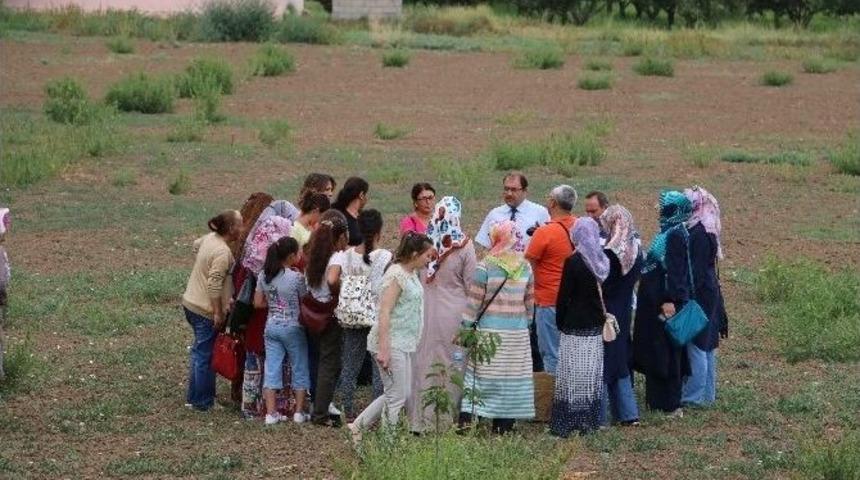 Kadın &Ccedil;ift&ccedil;iler Meyveciliği &Ouml;ğreniyor