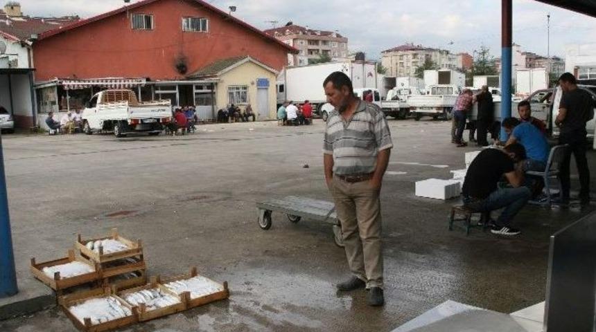 Balık Av Sezonu A&ccedil;ıldı Ama...