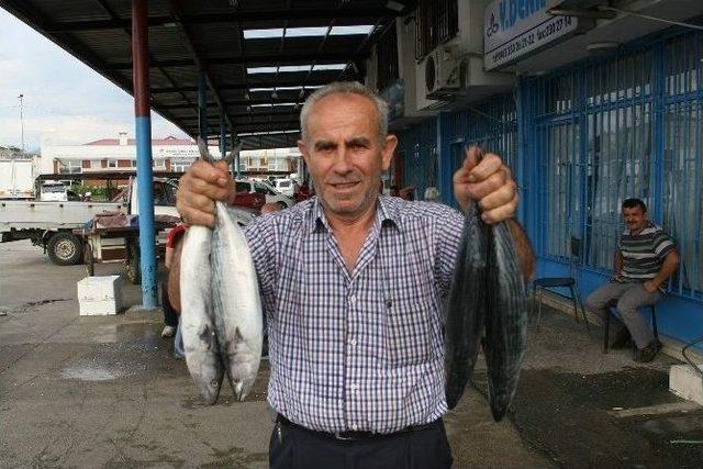 Balık Av Sezonu Açıldı Ama...