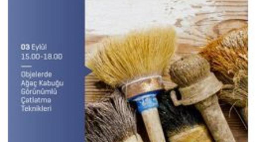 Ağa&ccedil; Kabukları Evlere Taşınacak