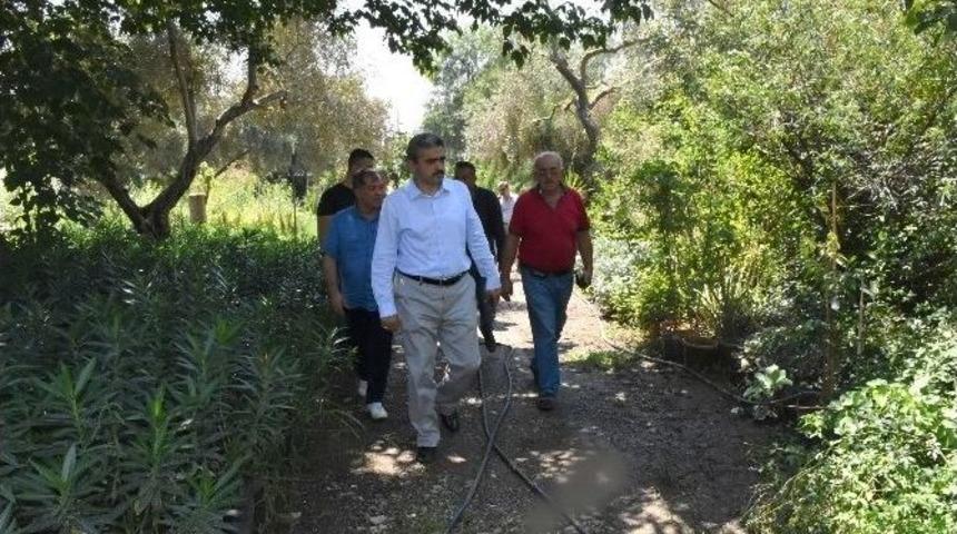 Başkan Alıcık, Belediye Fidanlığını İnceledi