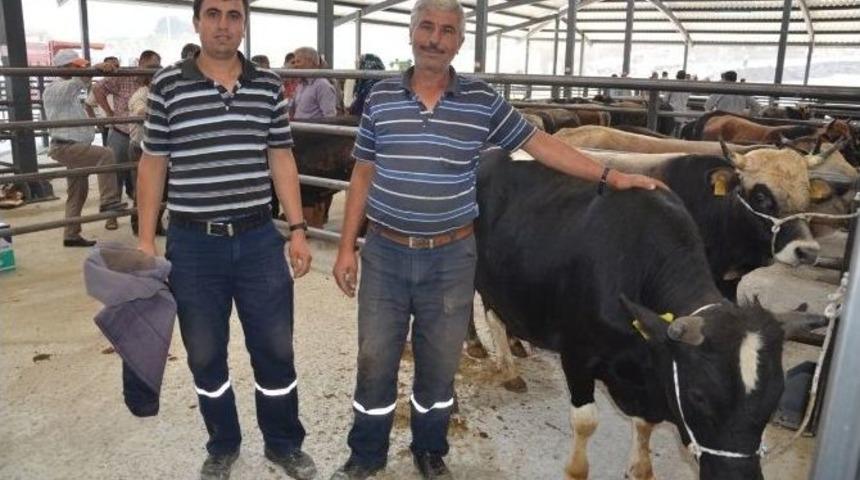 Soma’da Kurban Hareketliliği Başladı