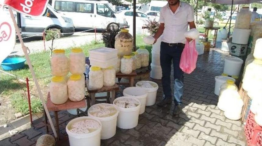G&uuml;roymak&rsquo;ta Kışlık Peynir Satışları Başladı