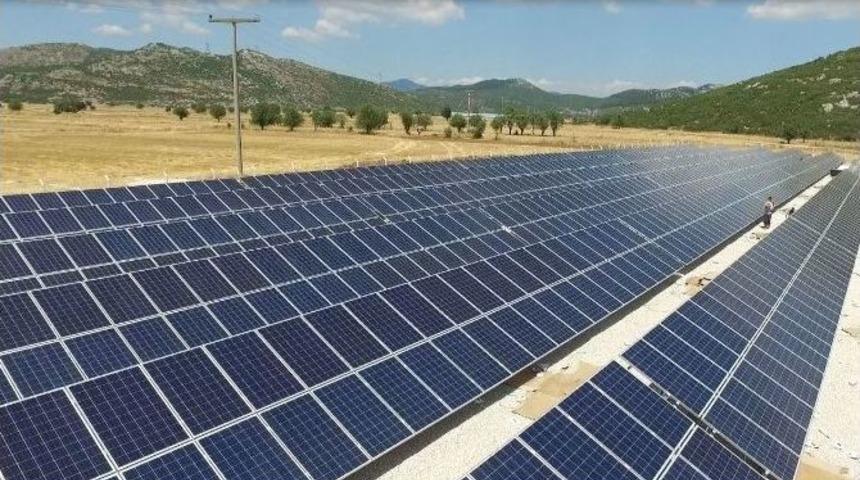 G&uuml;neş Tarlasında İkinci Etap İ&ccedil;in G&uuml;n Sayılıyor