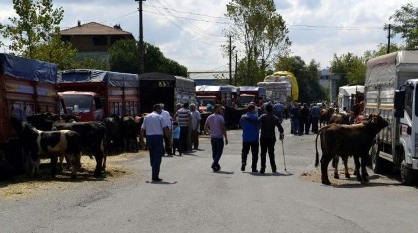 Alaplı&rsquo;da Kurbanlıklar Yok Satıyor