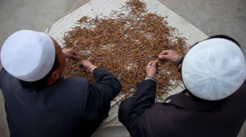 Hem satanın hem kullananın hayatı değişiyor