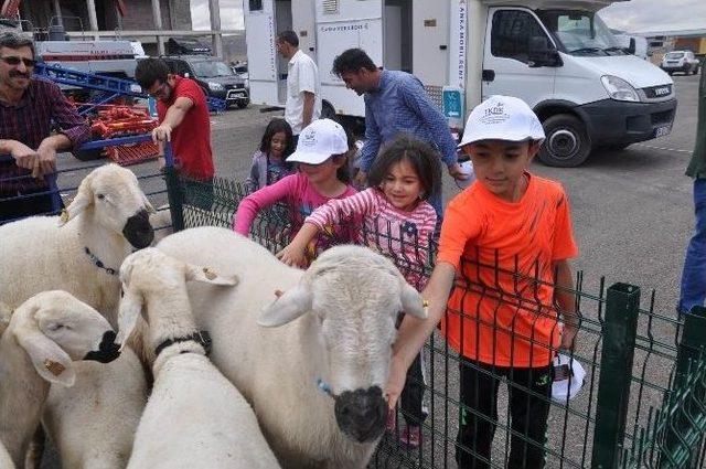 Sivas’ta ’3.agro Tarım Ve Hayvancılık Fuarı’ Açıldı