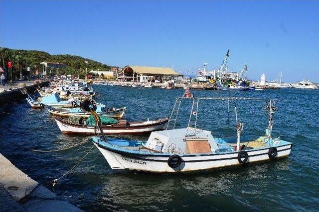 Ayvalıklı Balıkçılar Denizden Eli Boş Döndü