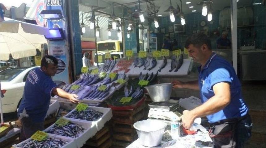 Bursalı Balık&ccedil;ılar "vira Bismillah" Dedi