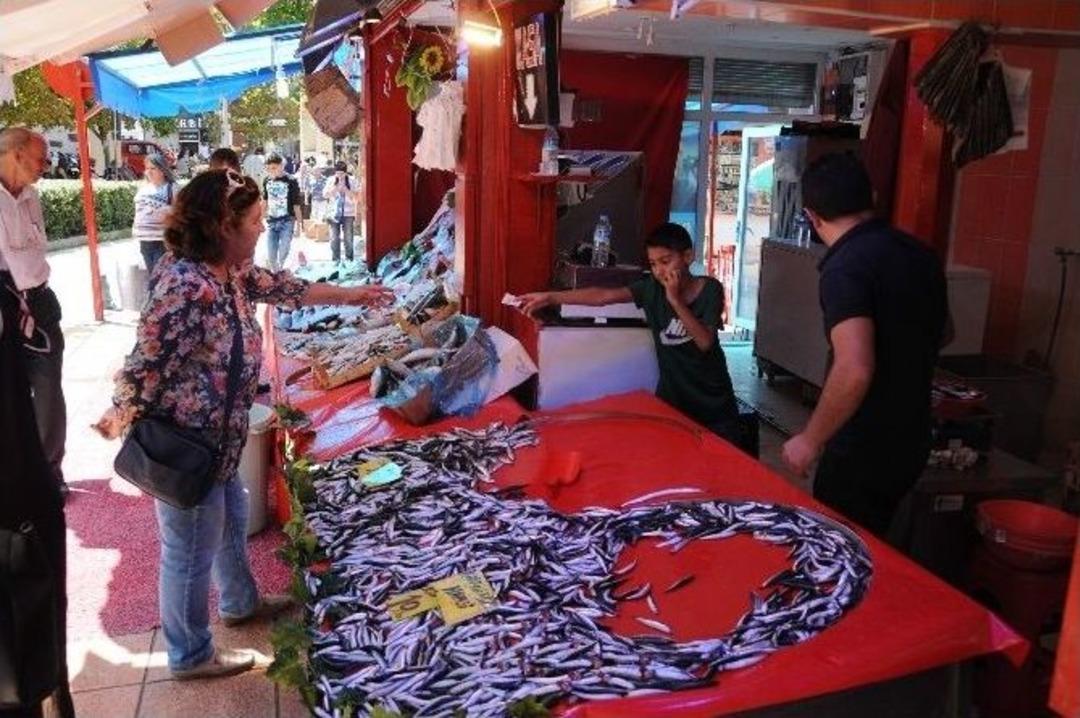 Balık&ccedil;ı Tezgahlarında Yeni Sezon Hareketliliği Başladı