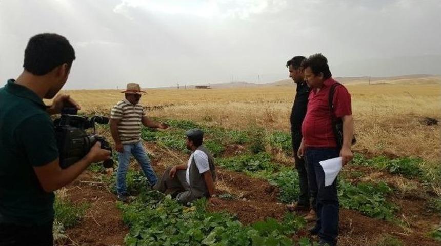 Şırnaklı Gen&ccedil;ler Silopi&rsquo;de Kısa Film &Ccedil;ekti