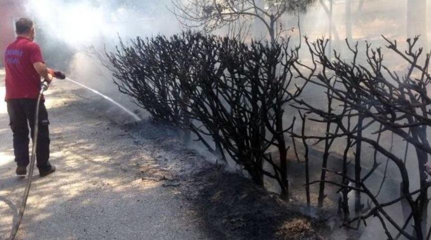 Okul Bah&ccedil;esindeki Ağa&ccedil;lık Alan Yandı