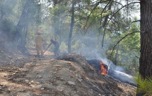 Manavgat’ta Orman Yangınında 5 Hektar Alan Zarar Gördü