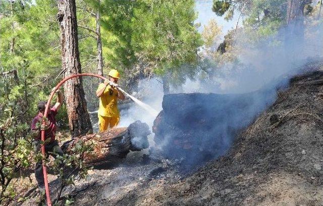 Manavgat’ta Orman Yangınında 5 Hektar Alan Zarar Gördü