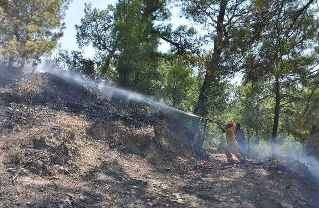 Manavgat’ta Orman Yangınında 5 Hektar Alan Zarar Gördü