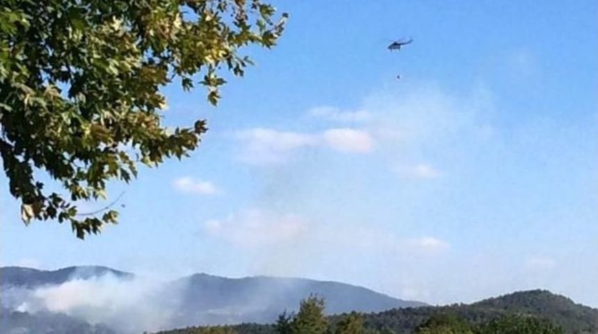 Biga&rsquo;da Orman Yangını