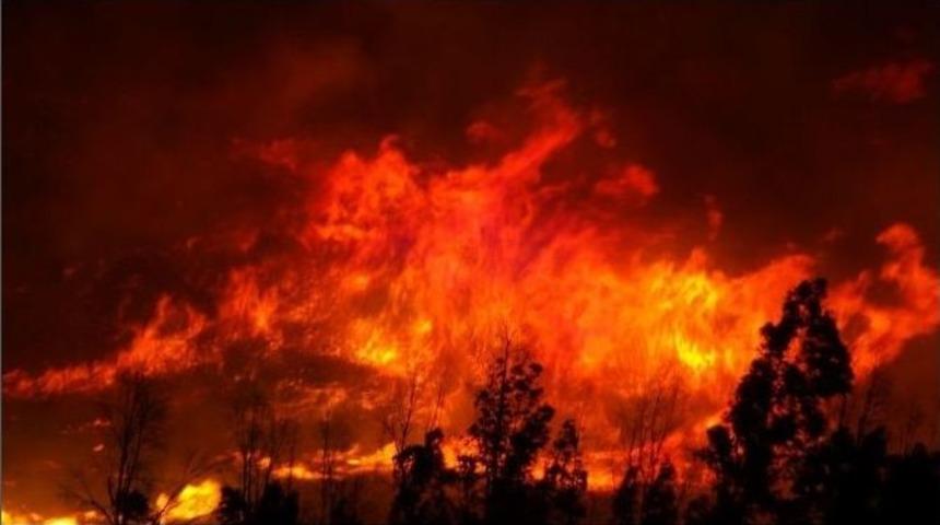 İzmir&rsquo;de B&uuml;y&uuml;k Orman Yangını