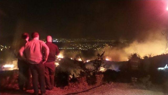 İzmir’de Büyük Orman Yangını