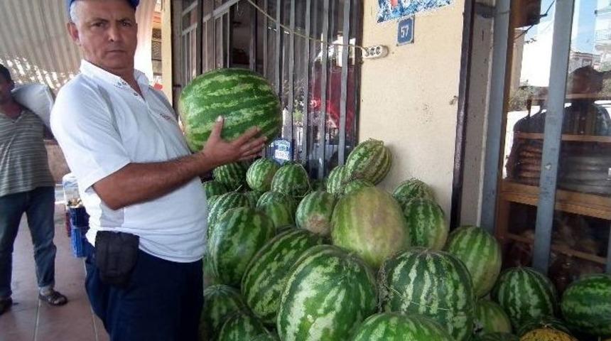 Aydın&rsquo;ın Cincin Karpuzu Kapış Kapışa Gidiyor
