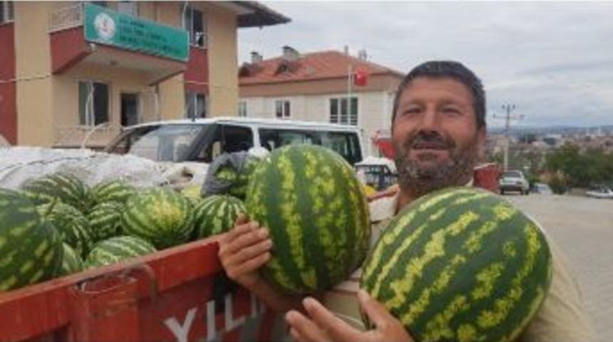 Vezirk&ouml;pr&uuml;&rsquo;de Karpuz Bereketi