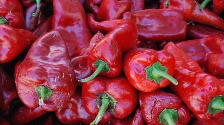 Sal&ccedil;alık Biber Tezgahlarda Yerini Aldı