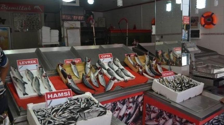 Sezonun İlk Balıkları Tezgahlarda