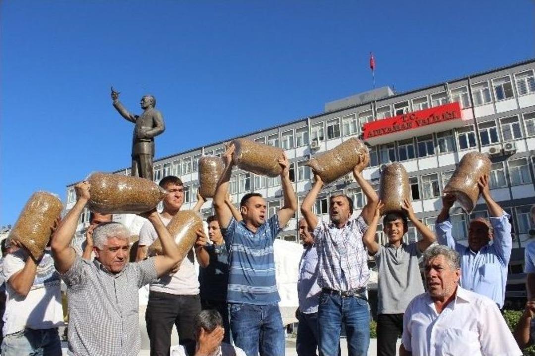 T&uuml;t&uuml;n &Uuml;reticileri Yolu Trafiğe Kapattı