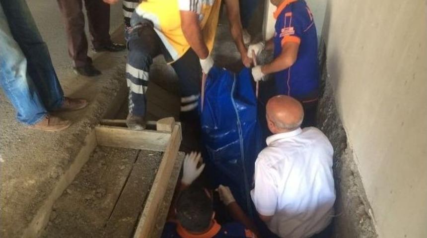 İnşaatta Ceset Bulundu