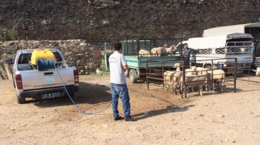 Kurban Satış Ve Kesim Yerleri İlaçlanıyor