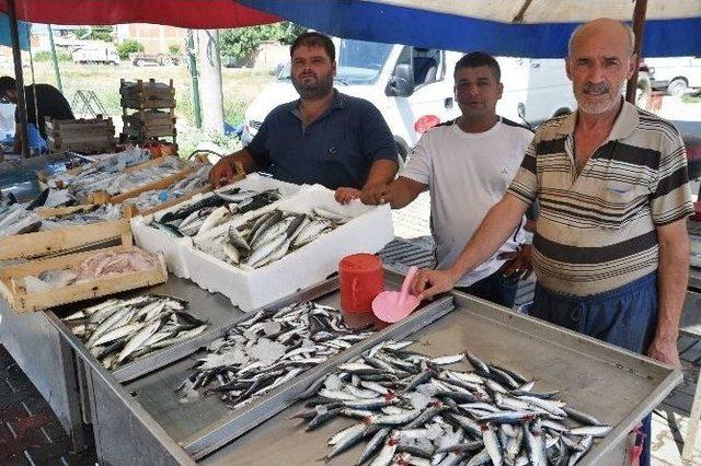 Av Yasağı Bitti, Balık Tezgahları Hareketlendi