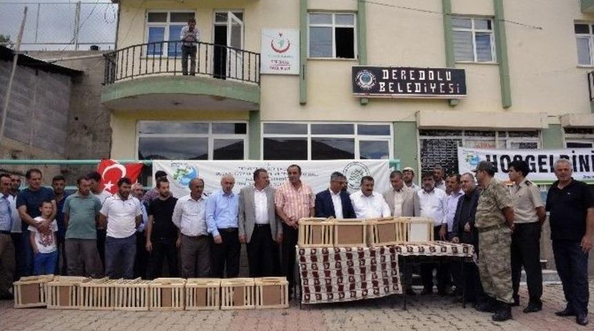 G&uuml;m&uuml;şhane&rsquo;de Be&ccedil; Tavuğu Dağıtımı Devam Ediyor