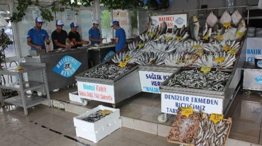 Avlanma Yasağı Kalktı, Balık Fiyatları Ucuzladı