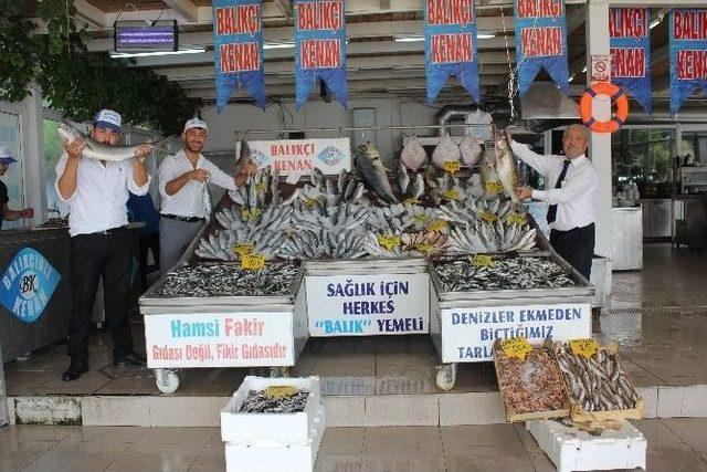 Avlanma Yasağı Kalktı, Balık Fiyatları Ucuzladı