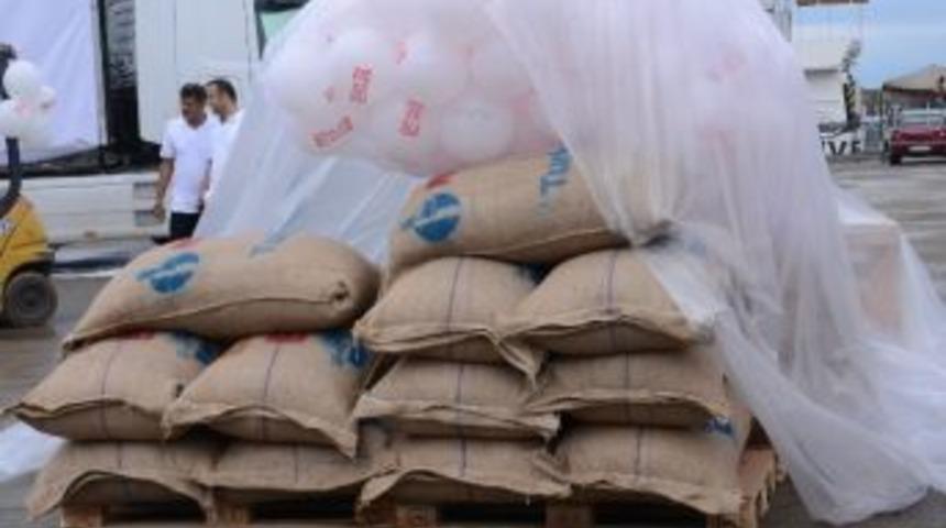 Fındık İhracatı Sezonu 249,6 Bin Ton İle Kapandı