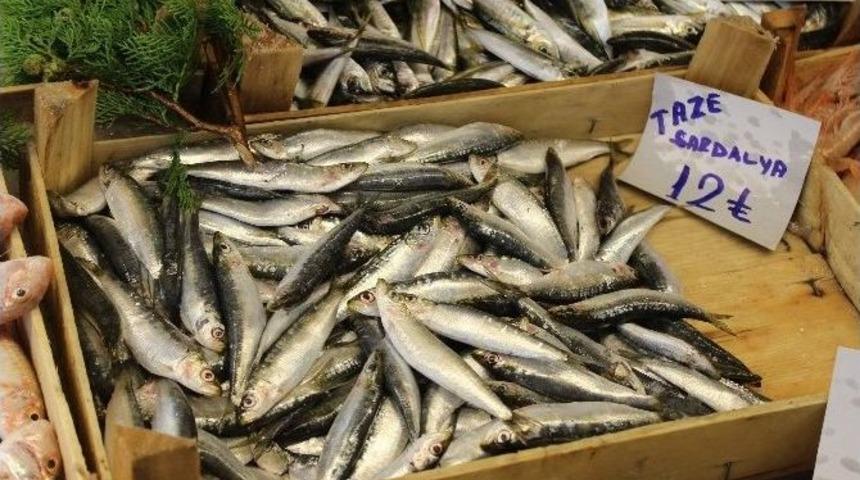 Balık Tezgahları Şenlendi Vatandaşın Y&uuml;z&uuml; G&uuml;ld&uuml;