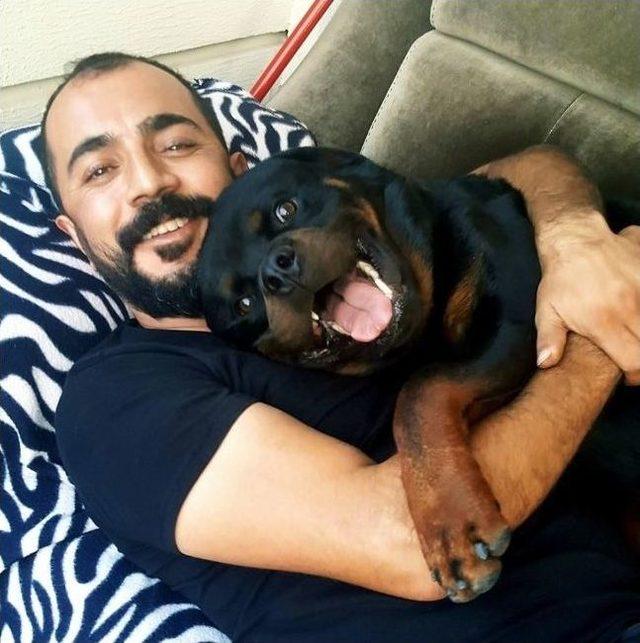 Kayıp Köpeğini Sosyal Medya Aracılığıyla Buldu