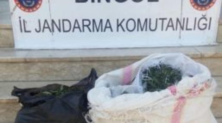 Bing&ouml;l&rsquo;de 10 Kilo Esrar Ele Ge&ccedil;irildi