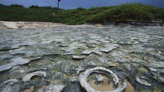 İnanılmaz! O bölgede büyük petrol rezervi keşfedildi!