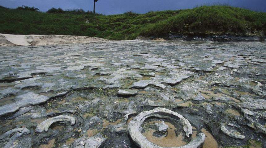 İnanılmaz! O bölgede büyük petrol rezervi keşfedildi!