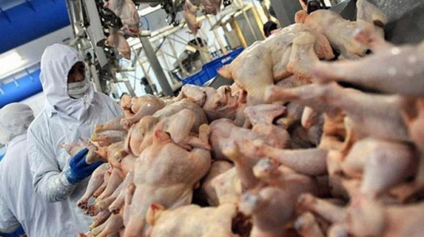 Şeker Piliç'in kesimhane ve idare binası Garanti Bankası'nın oldu