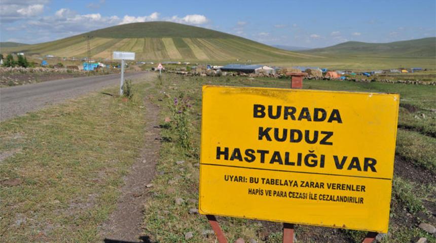 Antalya'da 7 mahallede kuduz alarmı! Karantinaya alındı