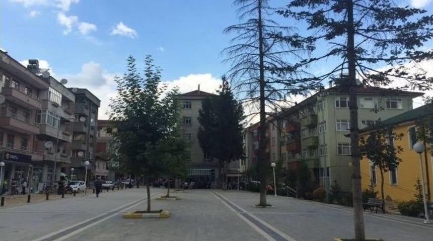 Yığılca Belediyesi Demokrasi M&uuml;cadelesini &Ouml;l&uuml;ms&uuml;zleştirdi