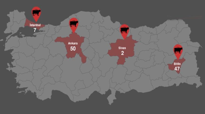 Türkiye'de şarbon hangi illerde görüldü? Uzmanlardan 'Yayılabilir' uyarısı