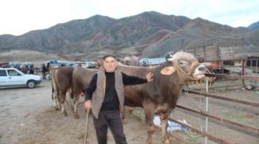 Kurbanlıklar Cep Yakıyor