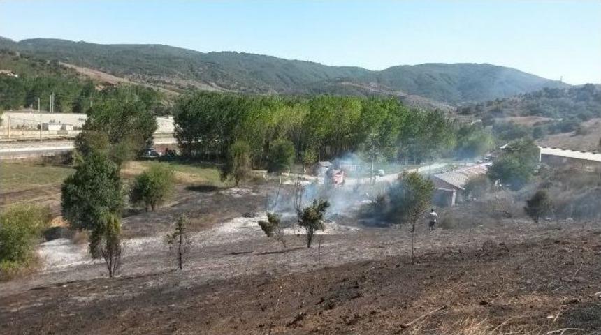 Elektrik Kablosuna Konan Kuş Yangına Sebep Oldu